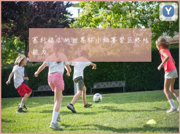 塞科福法纳世界杯小组赛禁区终结能力