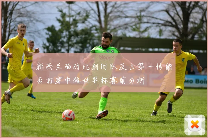 新西兰面对比利时队反击第一传能否打穿中路世界杯赛前分析