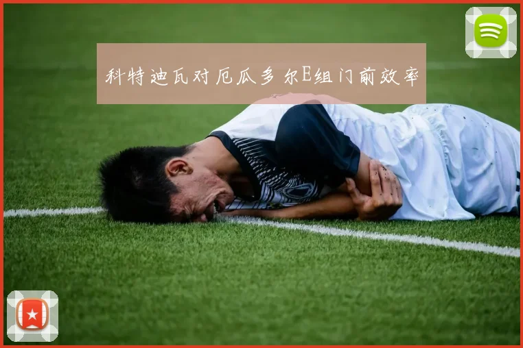 科特迪瓦对厄瓜多尔E组门前效率
