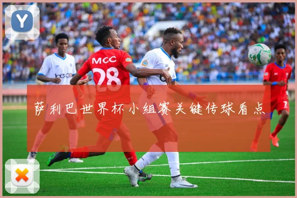 萨利巴世界杯小组赛关键传球看点