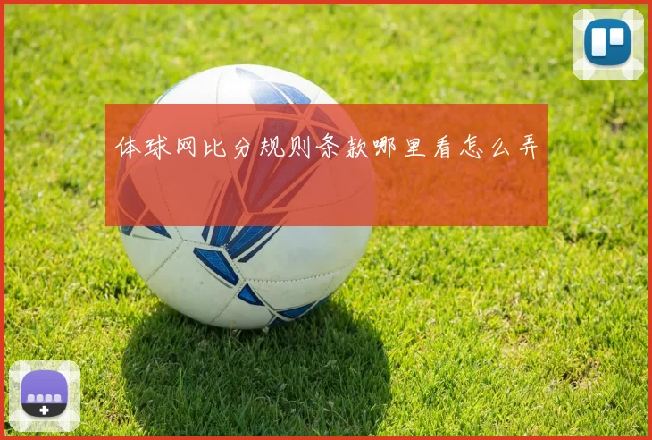 体球网比分规则条款哪里看怎么弄