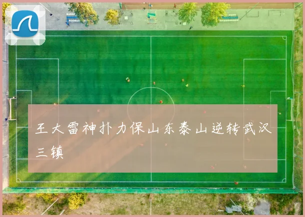 王大雷神扑力保山东泰山逆转武汉三镇