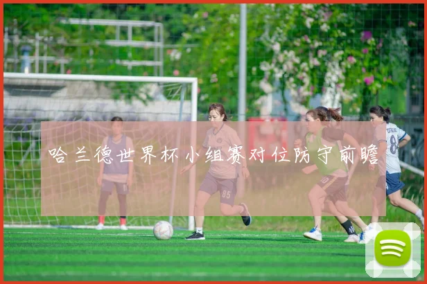 哈兰德世界杯小组赛对位防守前瞻