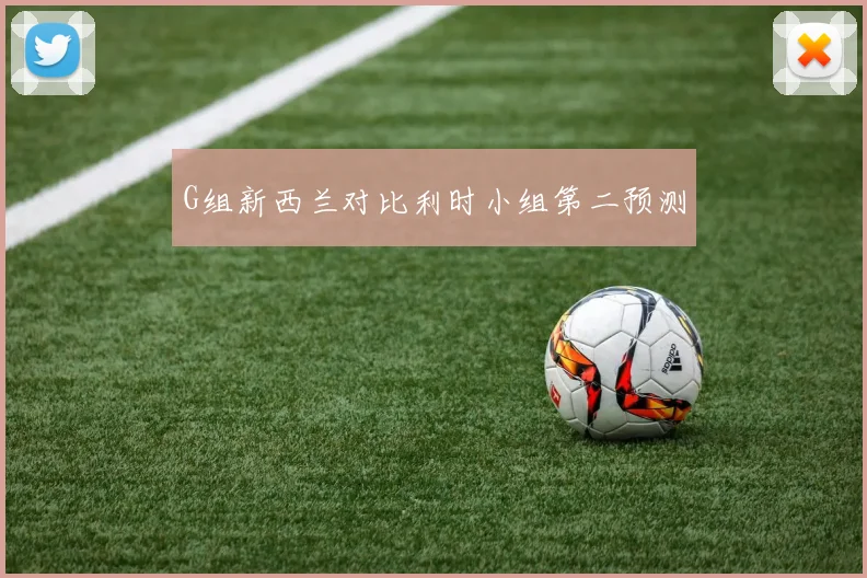 G组新西兰对比利时小组第二预测