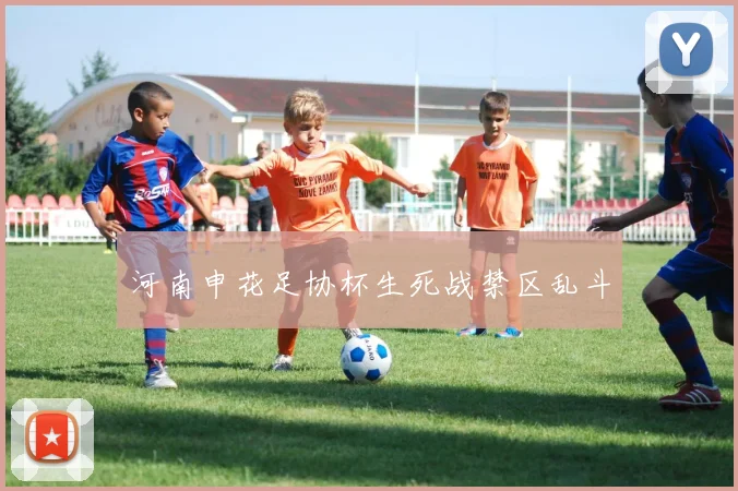 河南申花足协杯生死战禁区乱斗