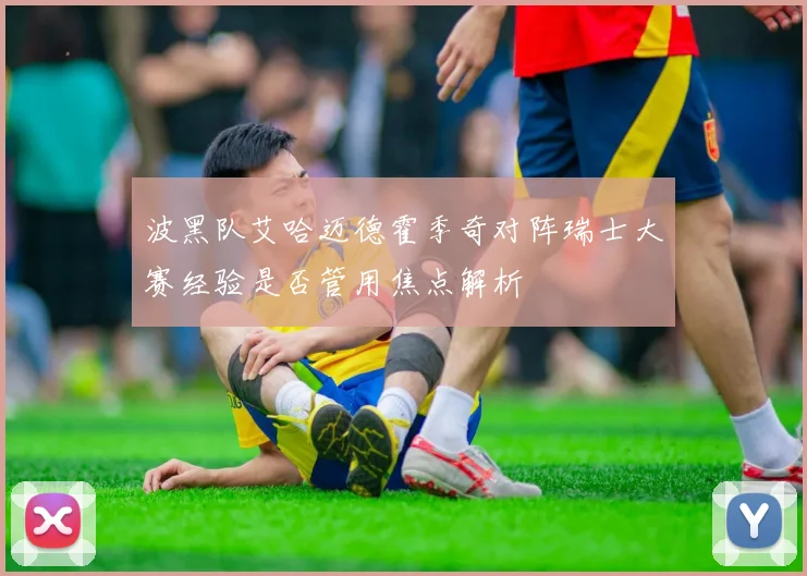 波黑队艾哈迈德霍季奇对阵瑞士大赛经验是否管用焦点解析