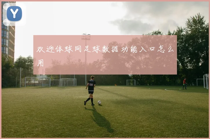 欢迎体球网足球数据功能入口怎么用